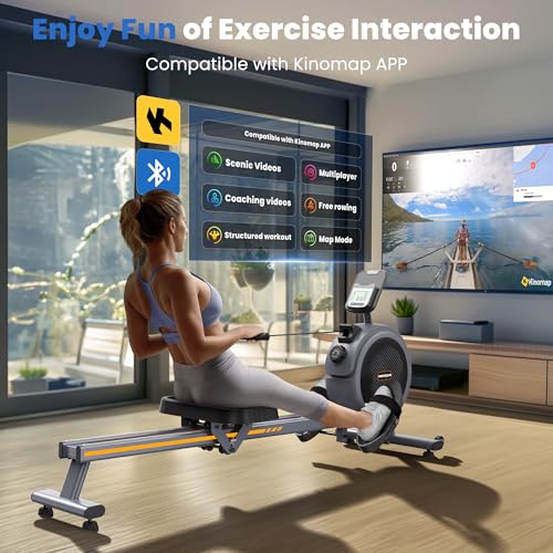Compact Rowing Machine with 350LBS Loading Capacity E7742
