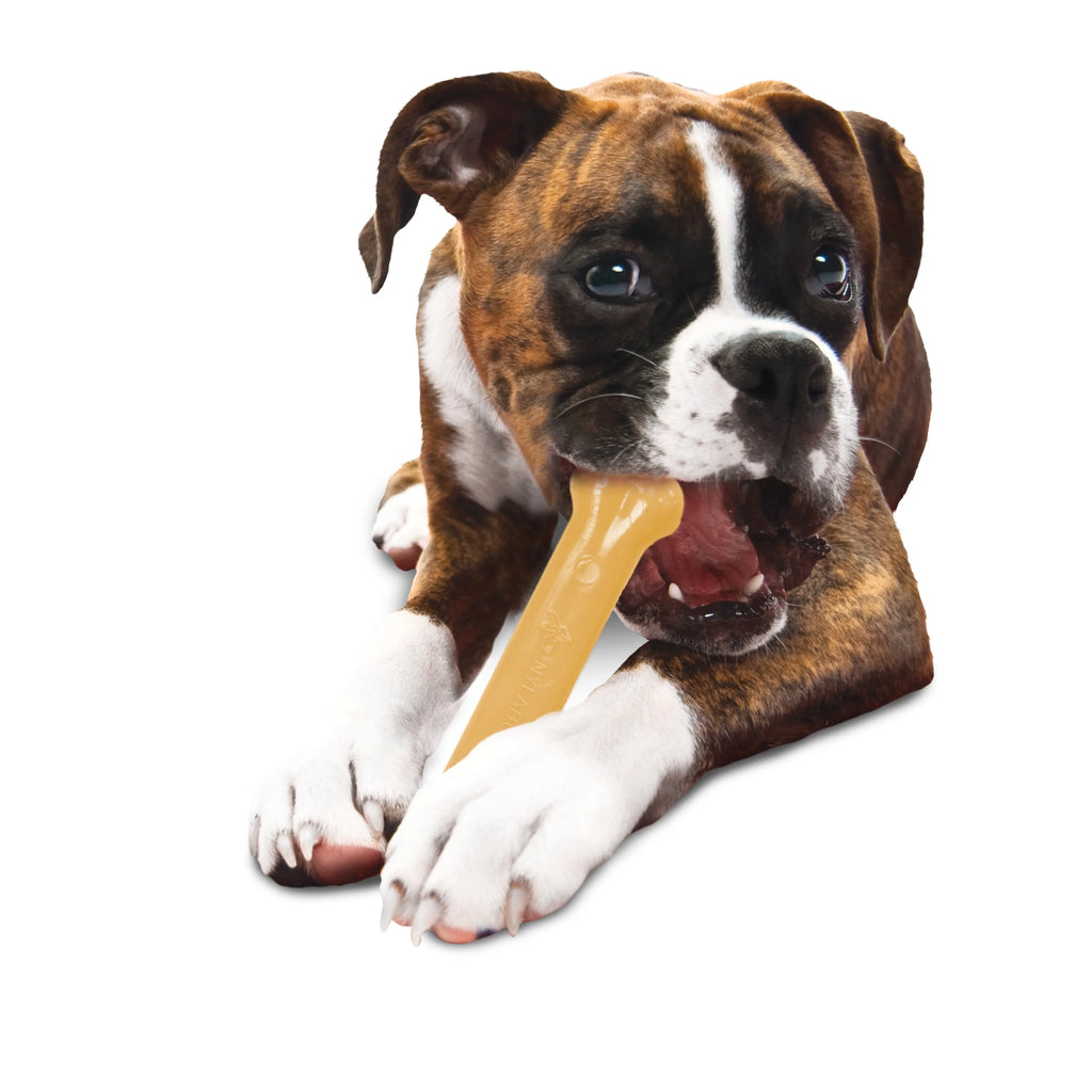 Flavored Durable Chew Toy for Dogs Large/Giant (1 Count) Y236