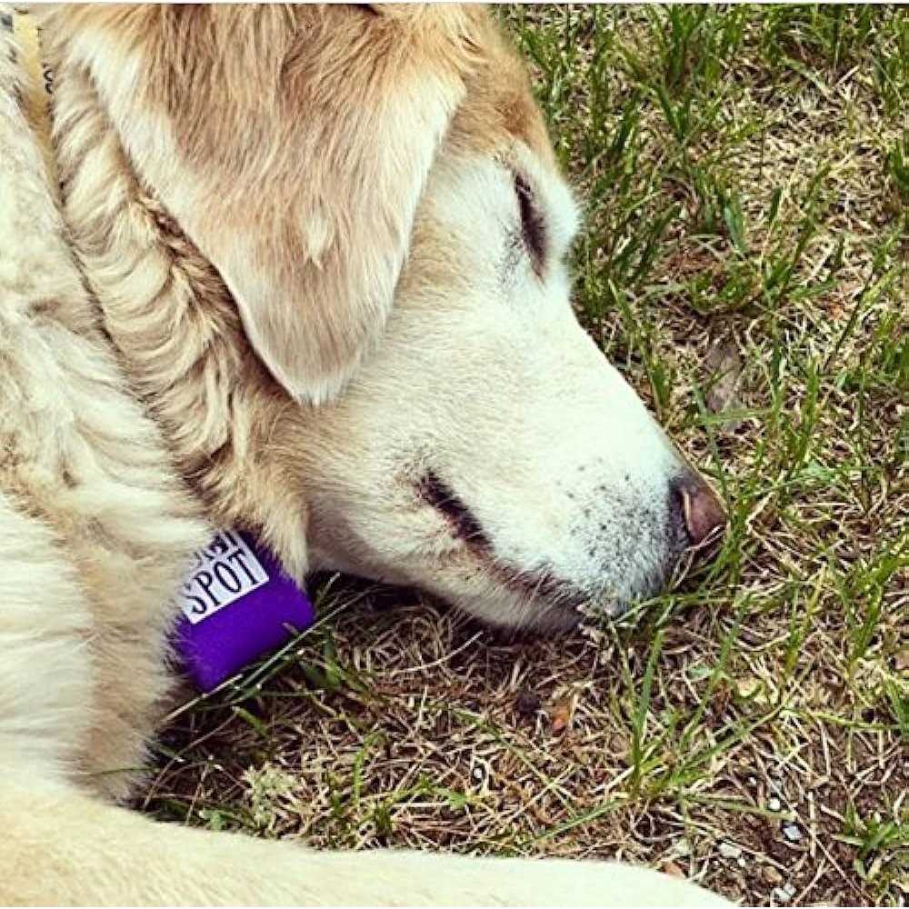 Pet Tag Silencer N262535
