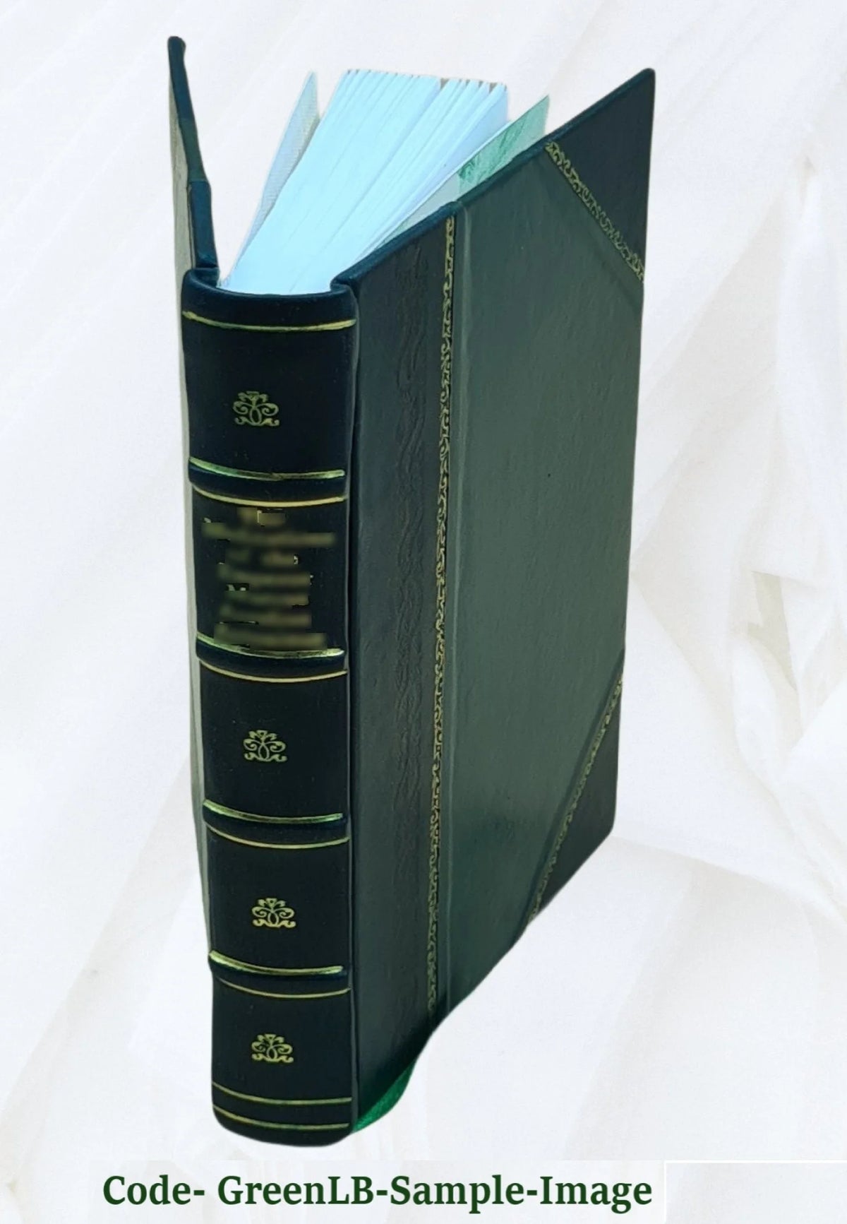 Leather Bound Book J5019