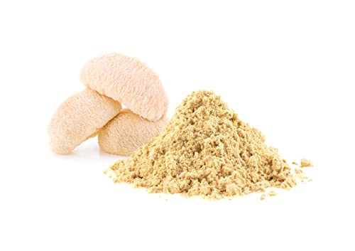 Organic Lion's Mane Mushroom Powder, 1 Pound P6252