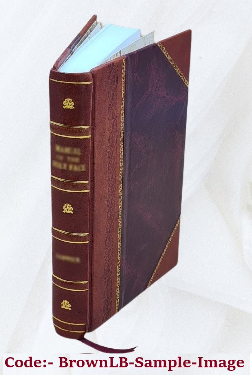 Leather Bound Book J5019