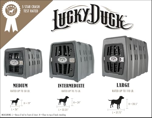 Large Portable Dog Crate B4048