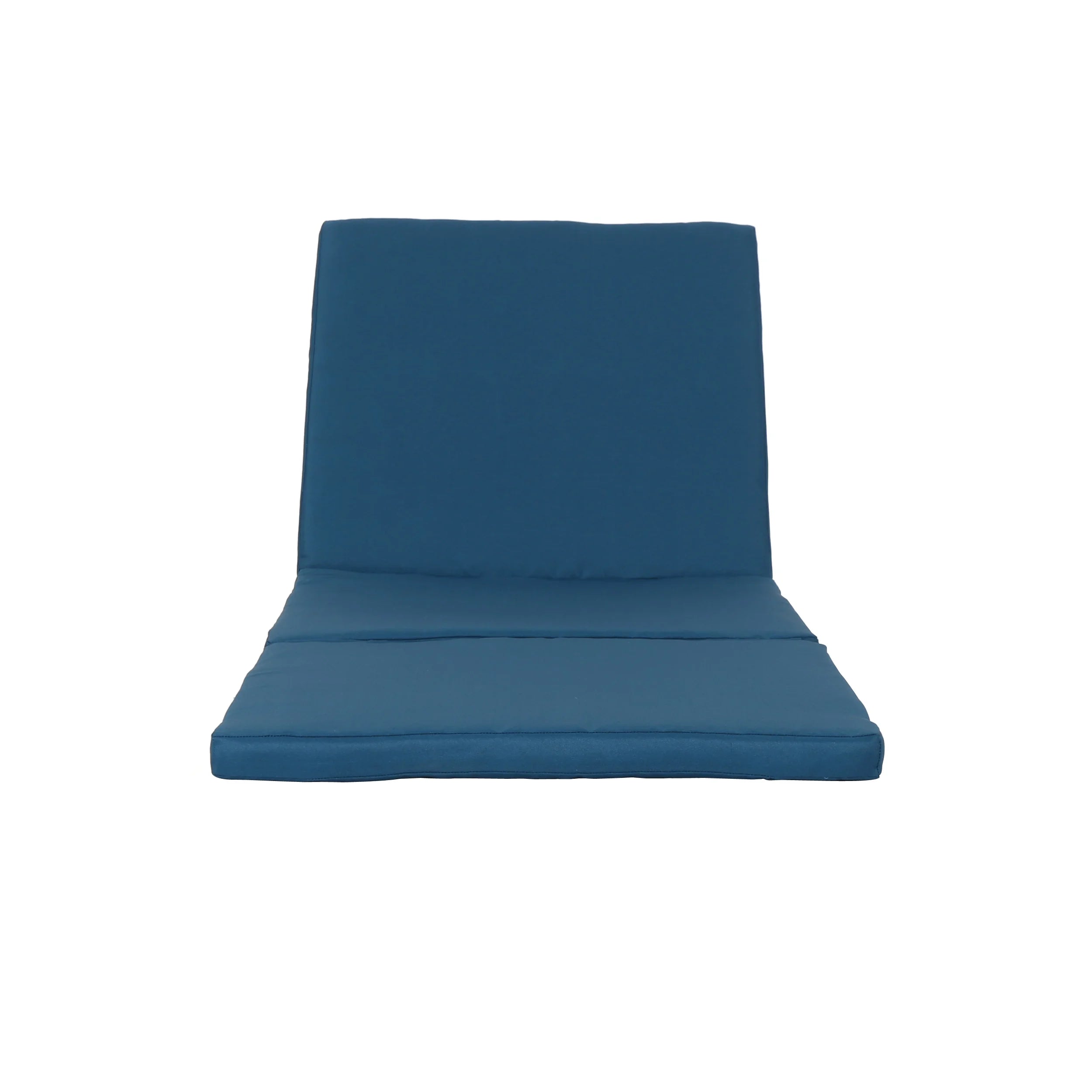 Blue Water Resistant Chaise Lounge Cushion, Set of 2 S102938