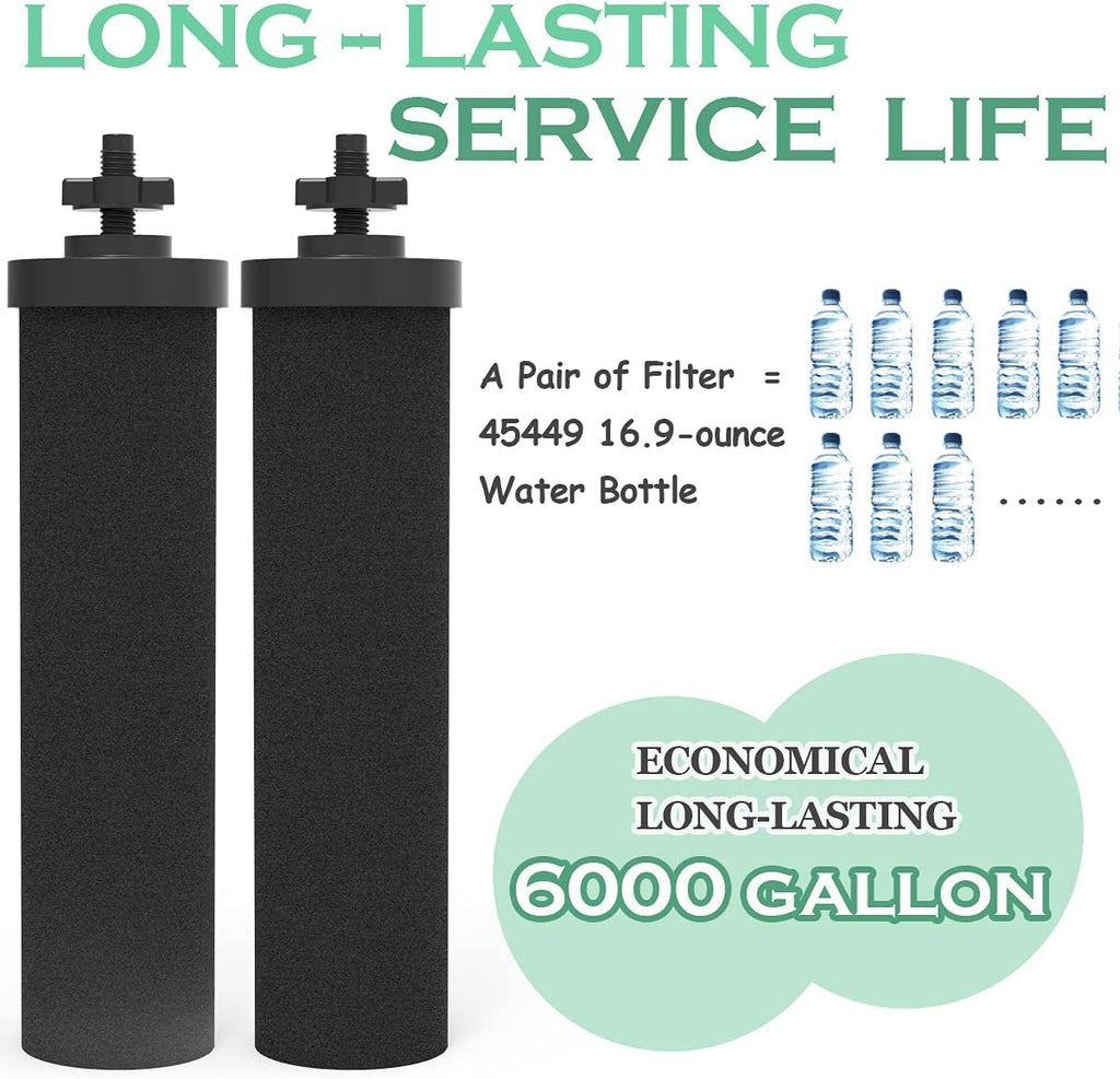 2 Packs Coconut Activated Carbon Water Filter Replacement Y33024