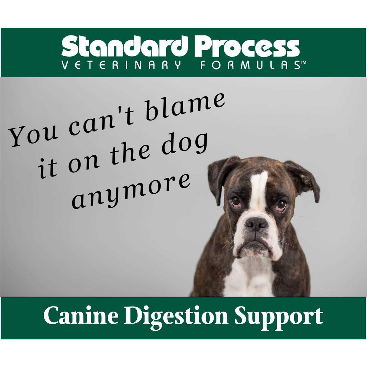 Canine Enteric Support A912