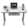 Gray Dual Motor Height Adjustable Desk with Drawer and Tempered Glass Top S907