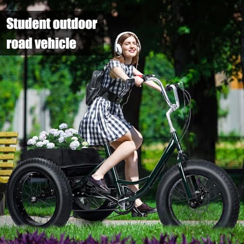 Black 20 inch 3 Wheel Fat Tire Tricycle G390