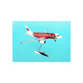 A319 Arizona Cardinals Z183481
