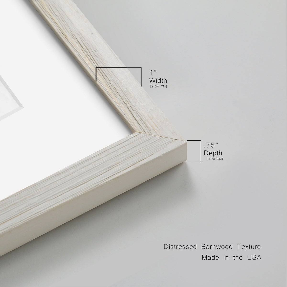 Framed Print 31X44 Grey J70988