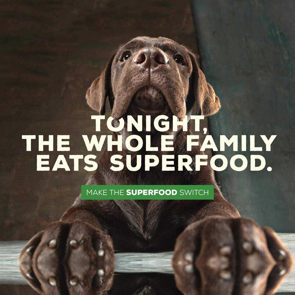 Grain Free Meal and Sweet Potato Recipe Dog Food X39438