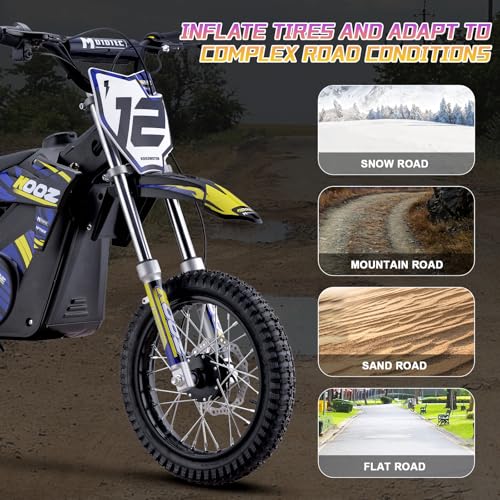 Blue 36V 1000W Electric Dirt Bike with 16" Tire Q631