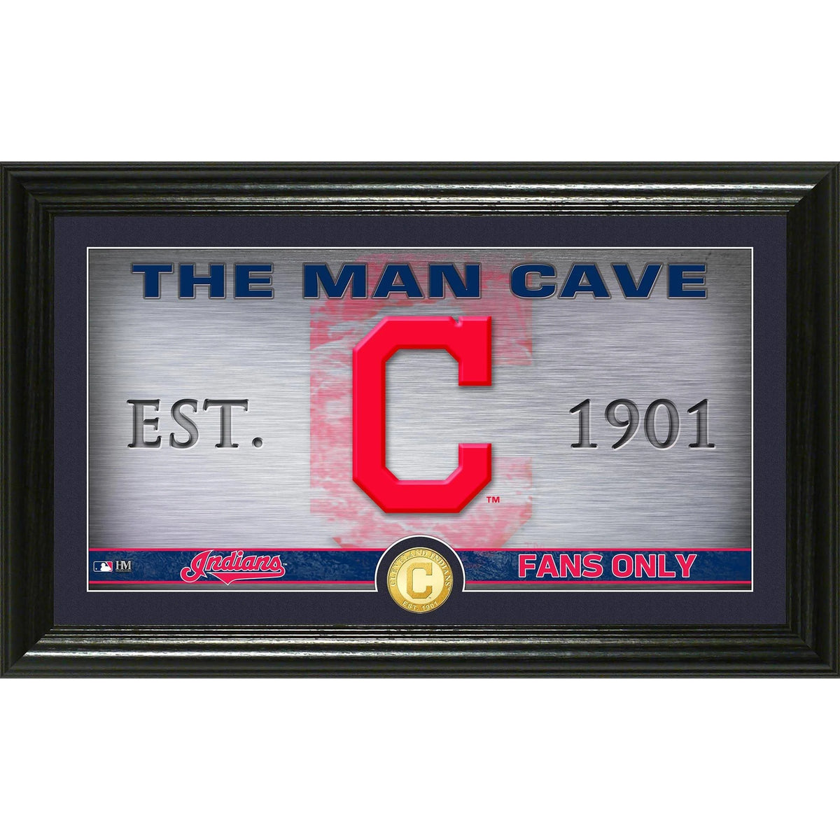 Cleveland Indians Pano Photo Y124