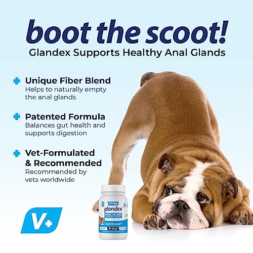 Vegan Powder Anal Gland Fiber Supplement 2.5oz with Pumpkin & Digestive Enzymes N82205