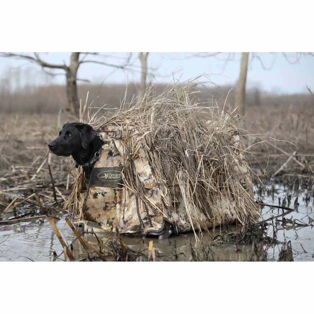 Dog Blind Y98721