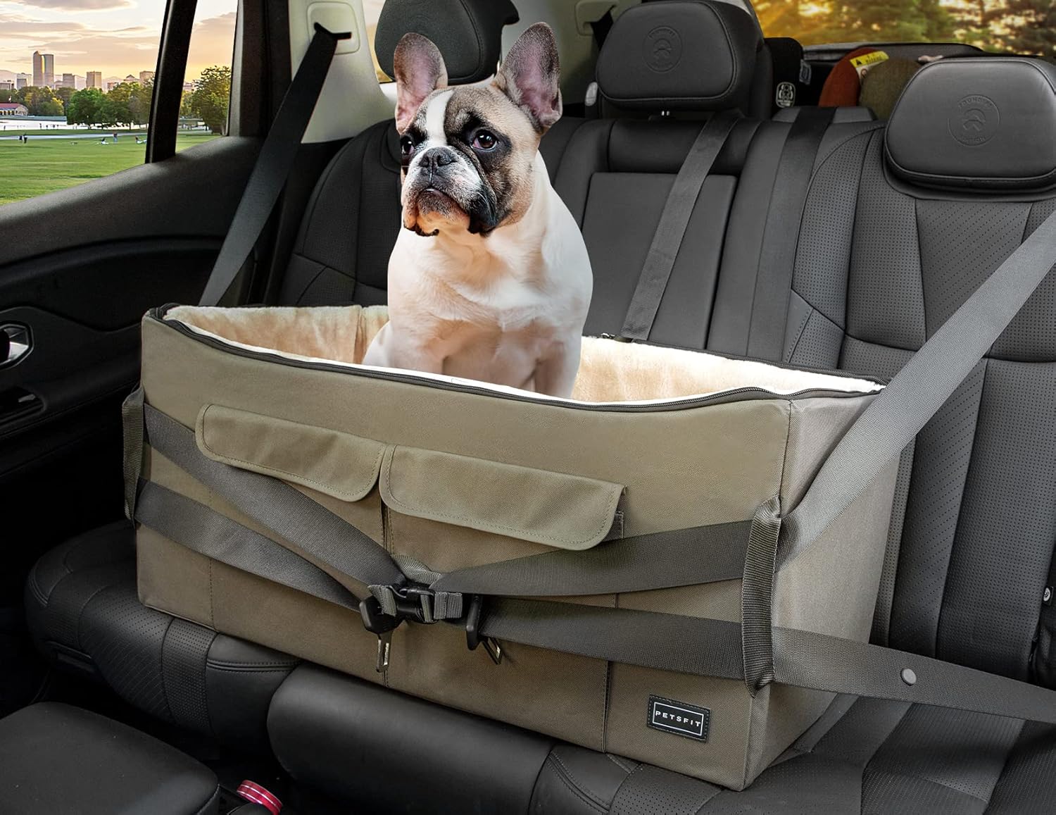 Lookout Car Seat For 2 Small Dogs or Medium Dog up to 45 lb With Big Pockets A99714
