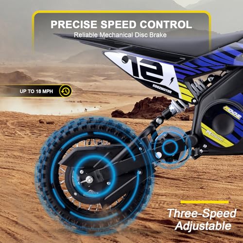 Blue 36V 1000W Electric Dirt Bike with 16" Tire Q631