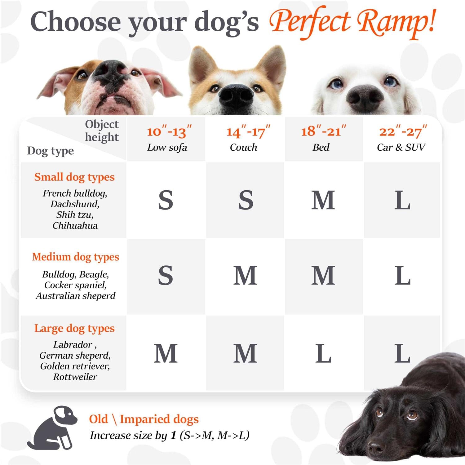 Portable Dog Ramp for Dogs G82239