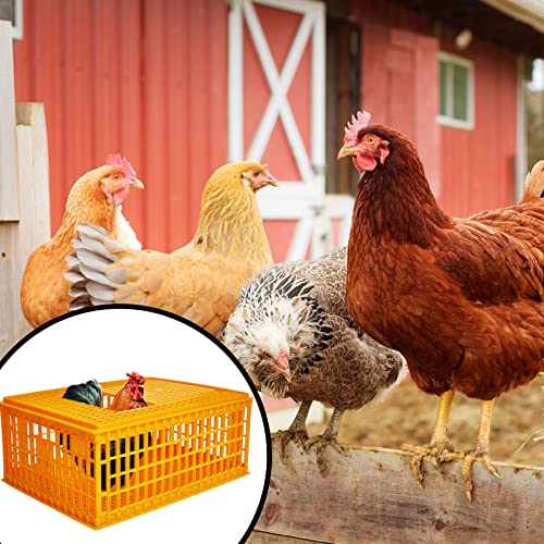 Plastic Poultry Carrier Crate for 13 Adult Chickens, 29.5 x 21.7 x 13 Inch G764