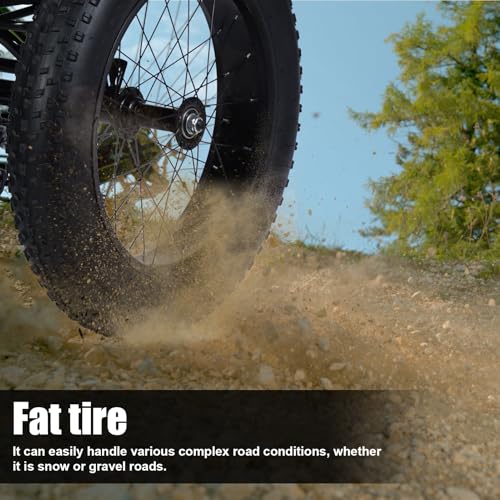 Black 20 inch 3 Wheel Fat Tire Tricycle G390
