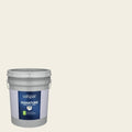 Satin Interior Paint (5-Gallon) B607