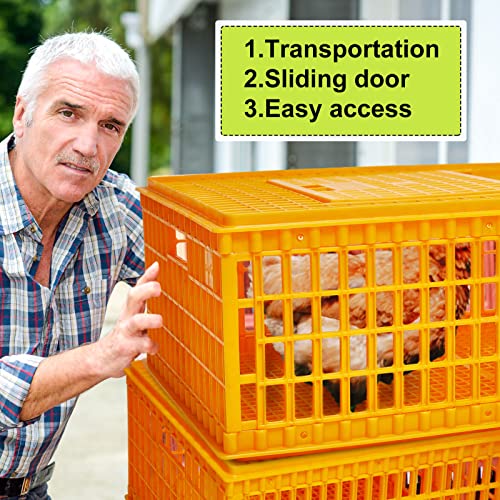 Plastic Poultry Carrier Crate for 13 Adult Chickens, 29.5 x 21.7 x 13 Inch G764