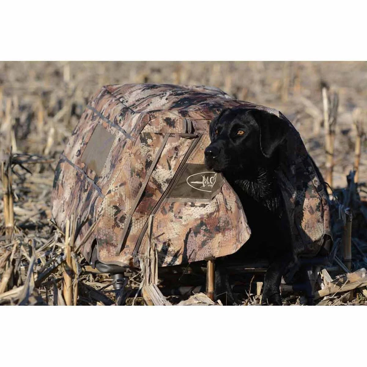 Dog Blind Y98721