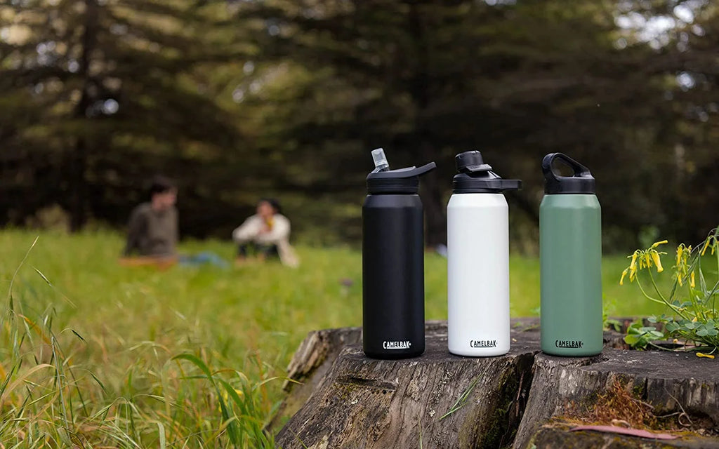 25oz Vacuum Insulated Stainless Steel Water Bottle Q429337