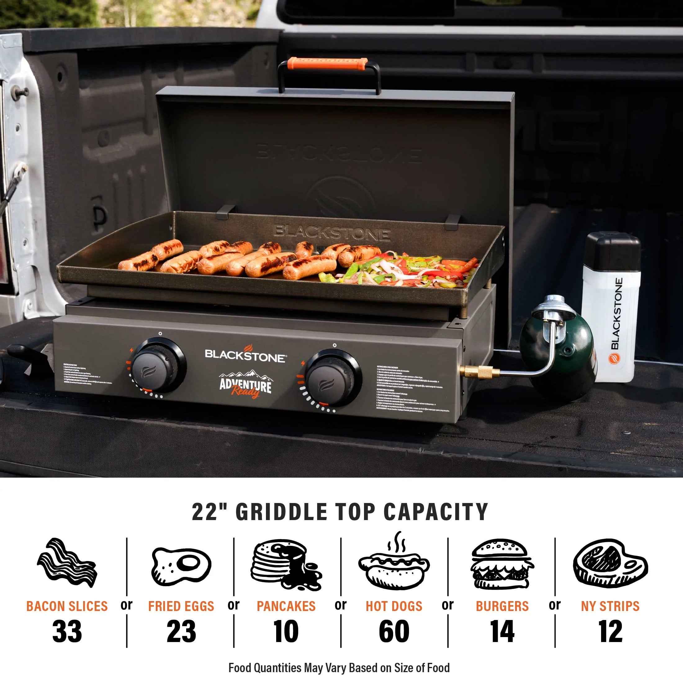 Black 2-Burner 22 Propane Griddle with Hard Cover P130