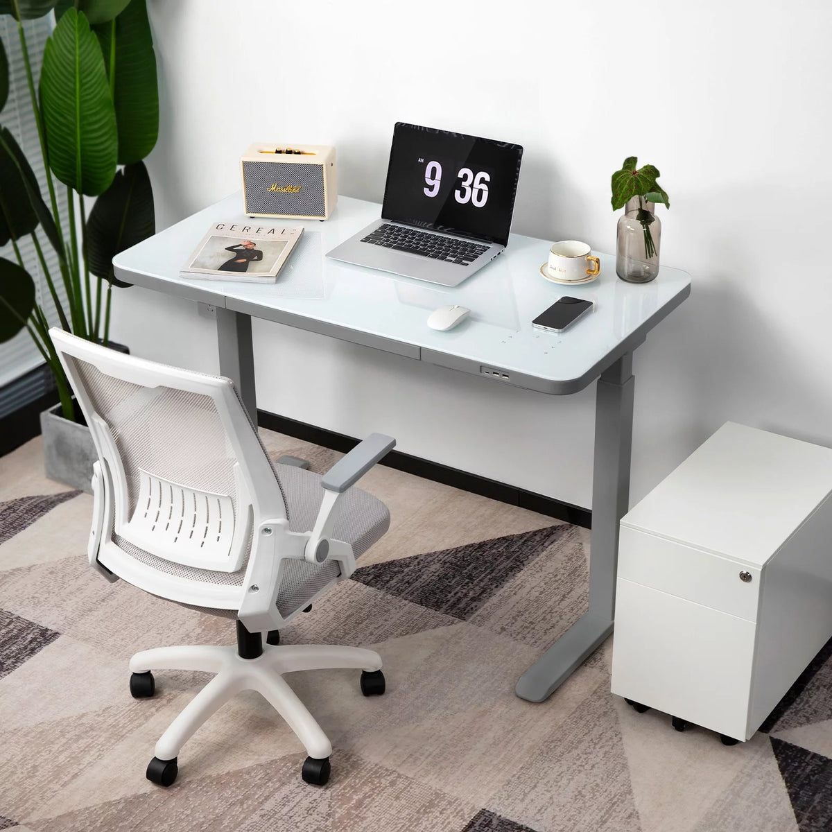 Gray Dual Motor Height Adjustable Desk with Drawer and Tempered Glass Top S907