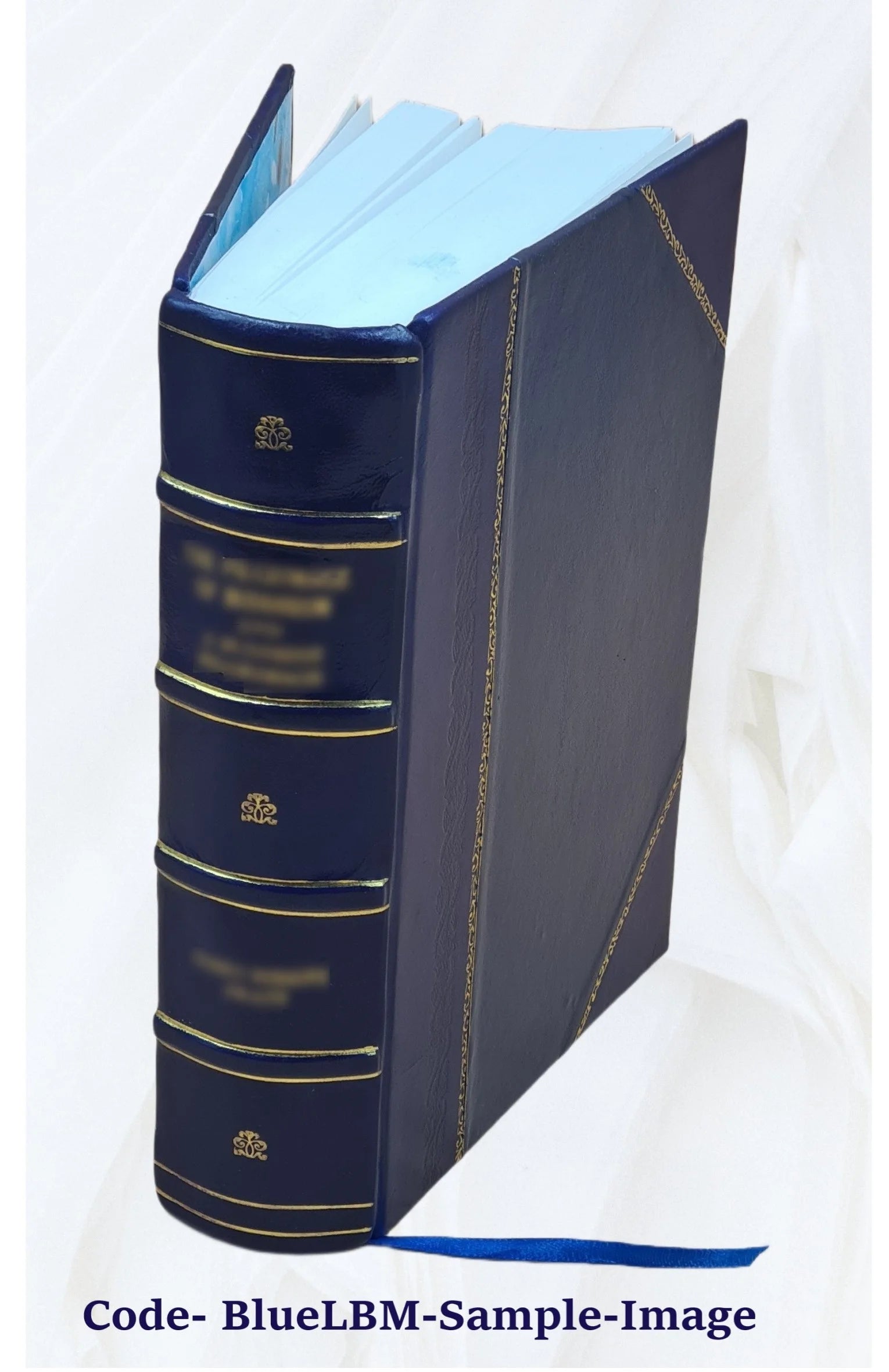 Minutes of the Supreme Executive Council of Pennsylvania, Volume 13 L832699