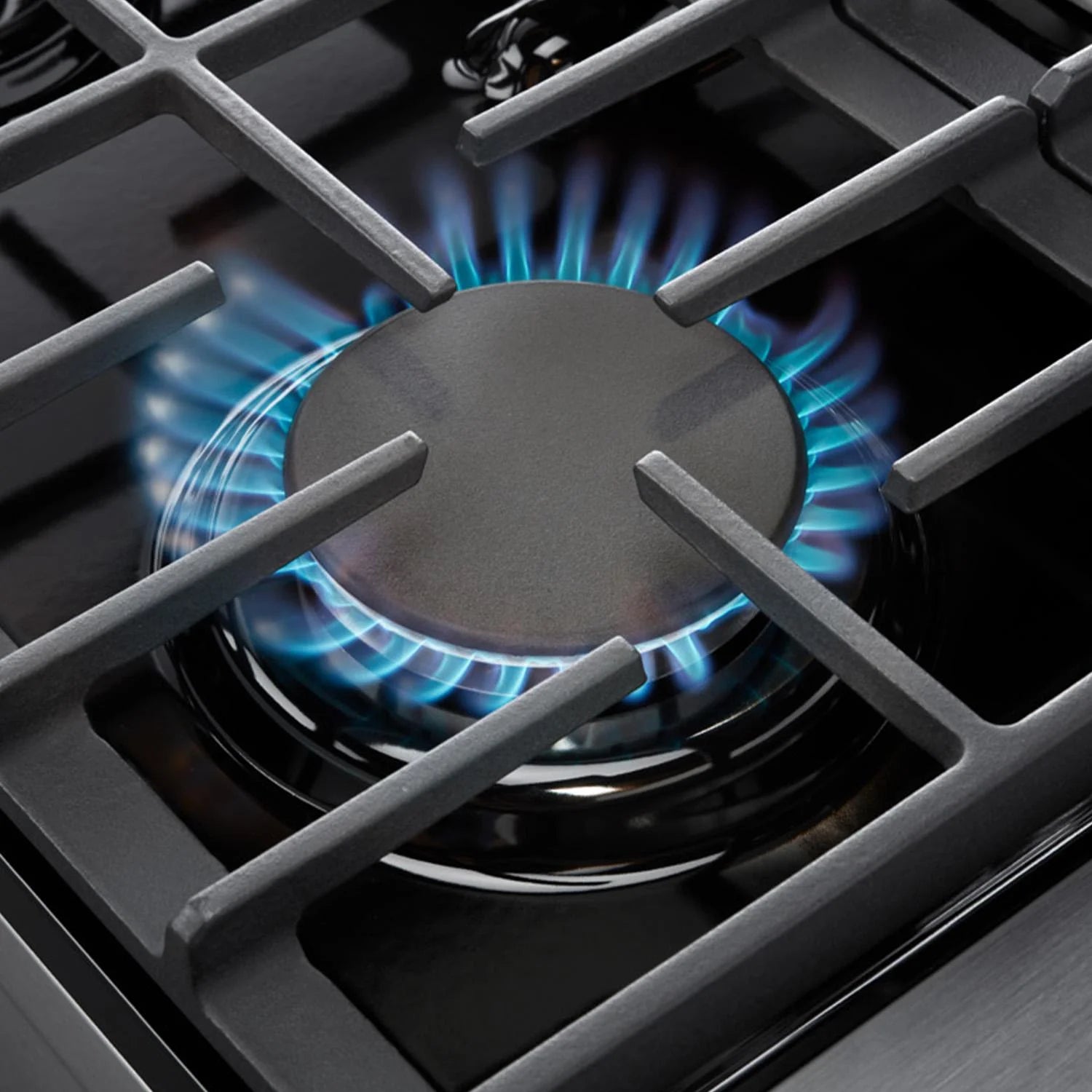 48" Liquid Propane Professional Gas Range H922025