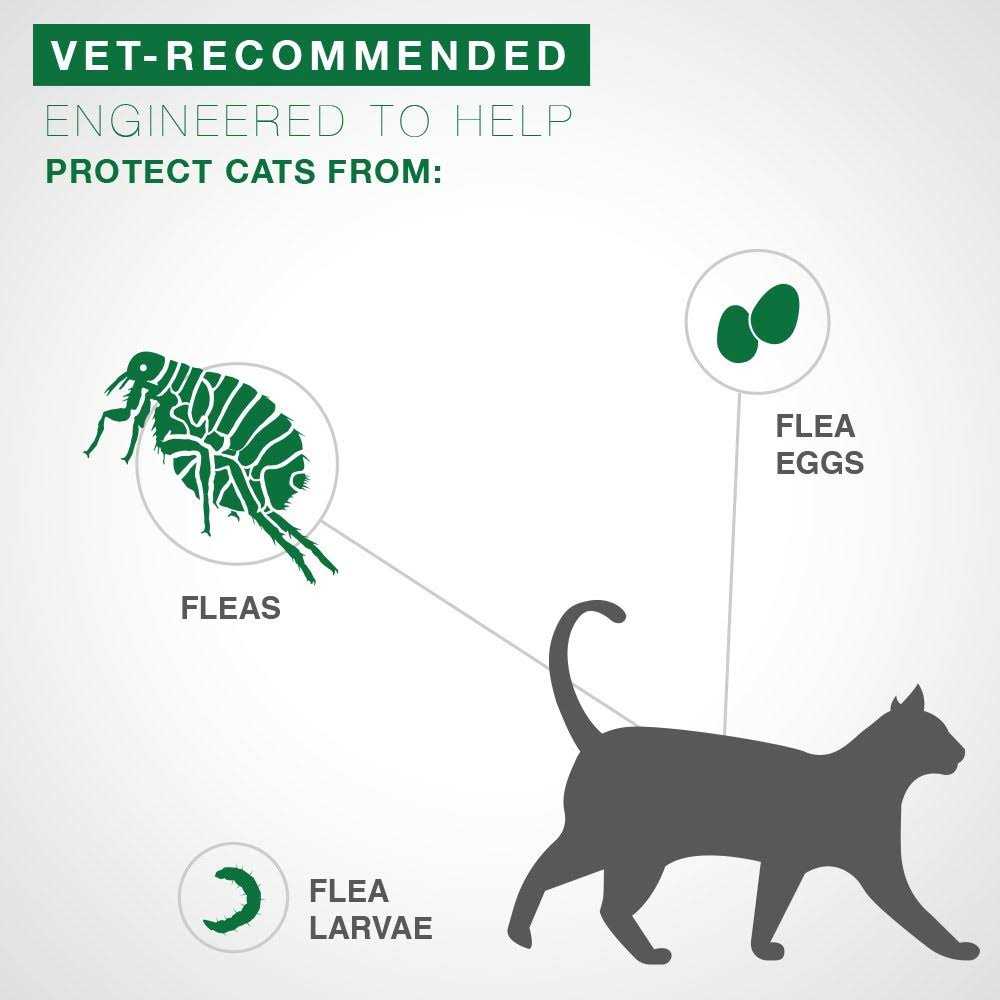 Advantage II Flea Treatment for Kittens C835
