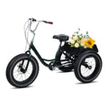 Black 20 inch 3 Wheel Fat Tire Tricycle G390