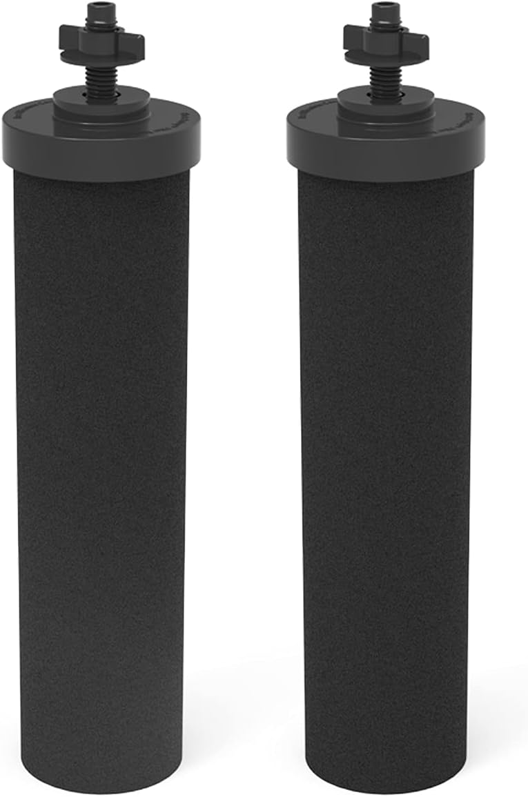 2 Packs Coconut Activated Carbon Water Filter Replacement Y33024