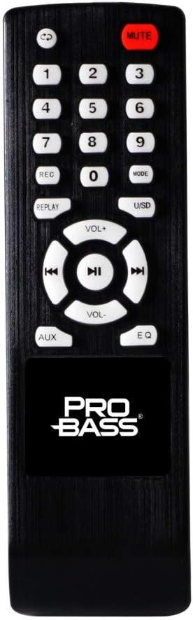 Portable Audio System with Rechargeable Battery, Bluetooth, Wireless Mic and Remote Control H970