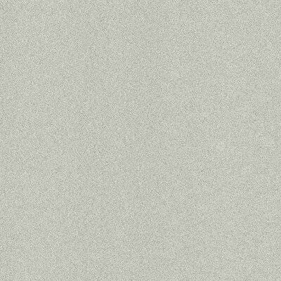 24x22 Peel and Stick Carpet Tile F484453
