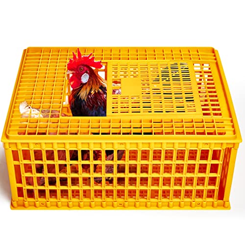 Plastic Poultry Carrier Crate for 13 Adult Chickens, 29.5 x 21.7 x 13 Inch G764
