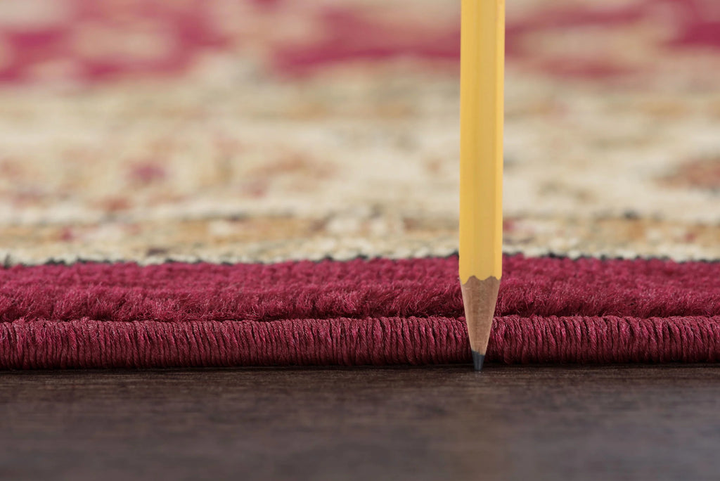 8x10 Red Traditional Area Rug T3825