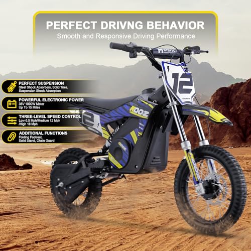 Blue 36V 1000W Electric Dirt Bike with 16" Tire Q631