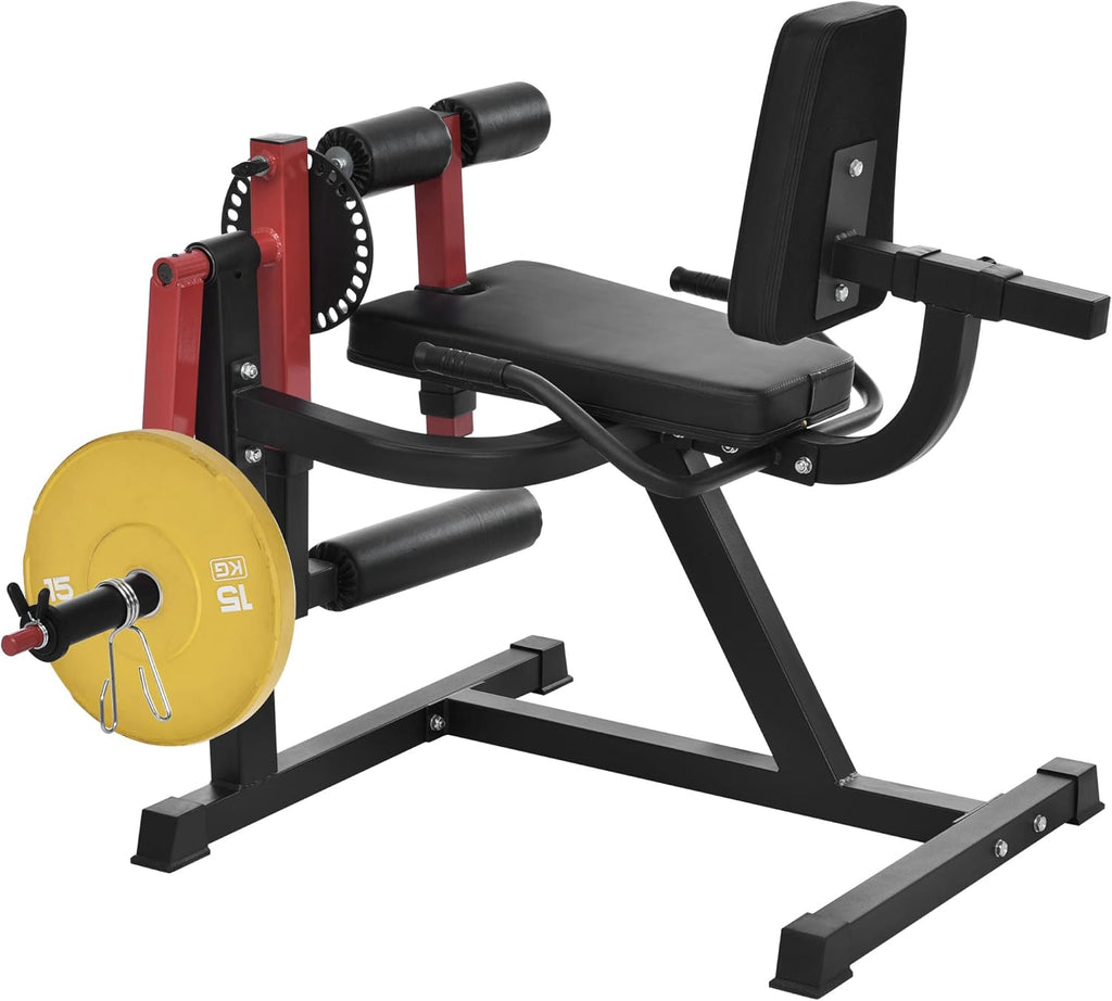 Adjustable Leg Extension and Curl Machine U178