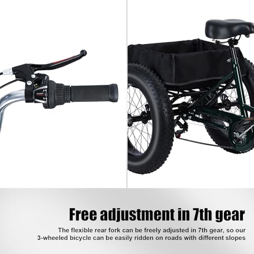 Black 20 inch 3 Wheel Fat Tire Tricycle G390
