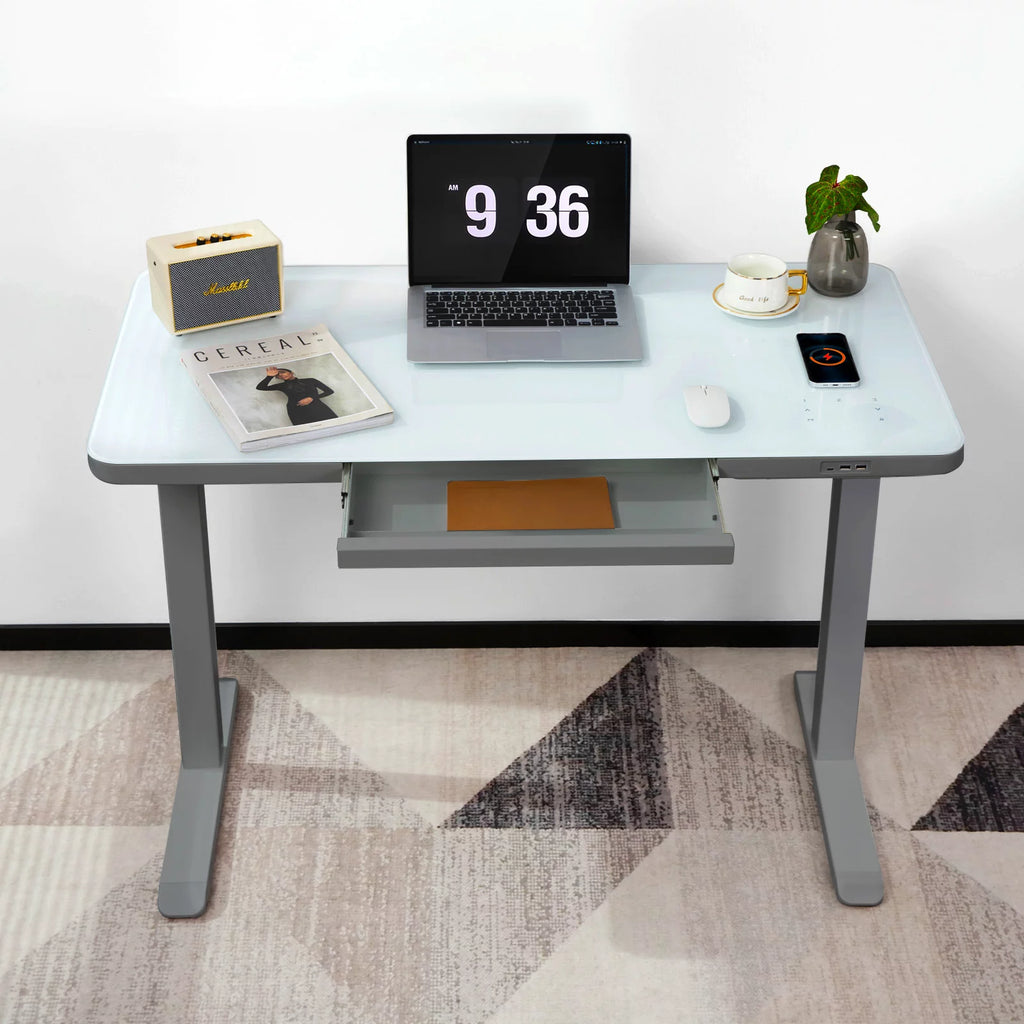 Gray Dual Motor Height Adjustable Desk with Drawer and Tempered Glass Top S907