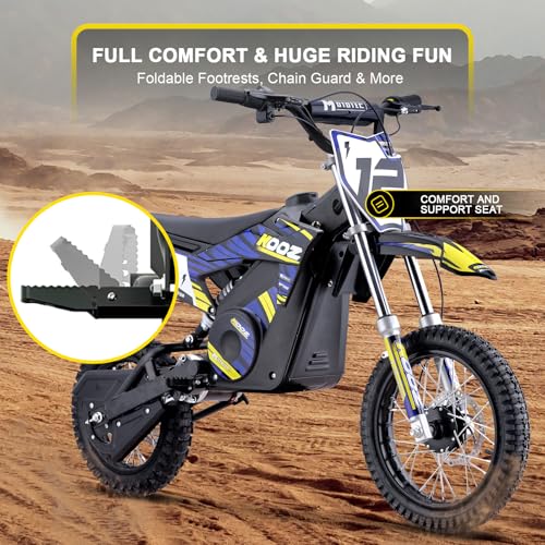 Blue 36V 1000W Electric Dirt Bike with 16" Tire Q631