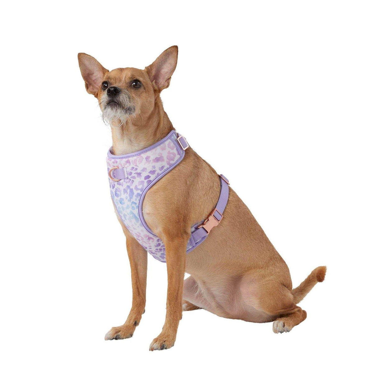 Top Paw Dog Harness T99323