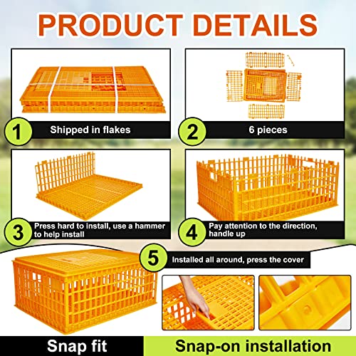 Plastic Poultry Carrier Crate for 13 Adult Chickens, 29.5 x 21.7 x 13 Inch G764