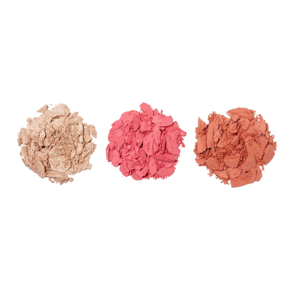 Complexion Trio (Pack of 2) F874
