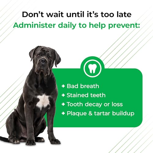 4.2oz Dental Powder for Cat and Dog I452