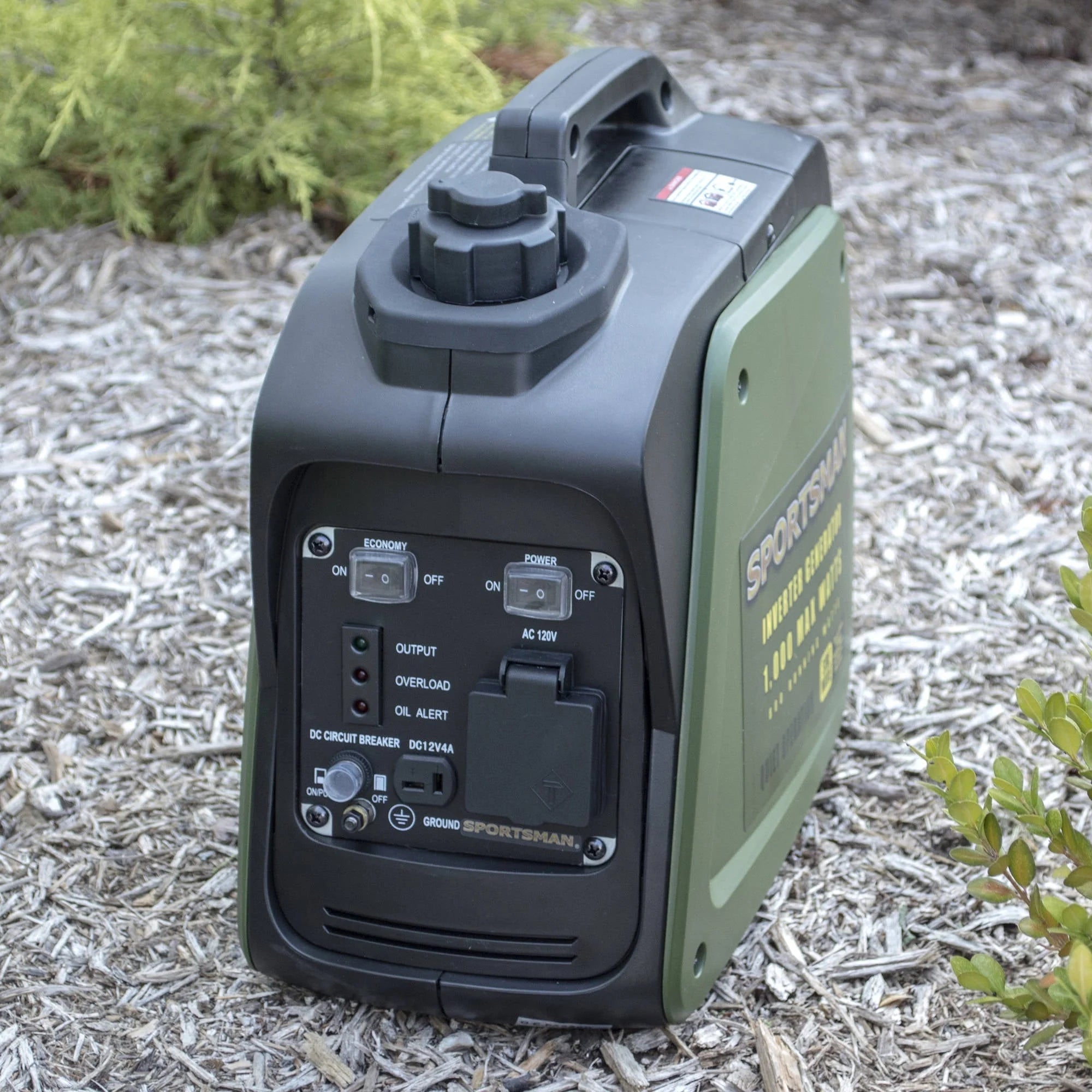 1000 Watt Inverter Generator E2997
