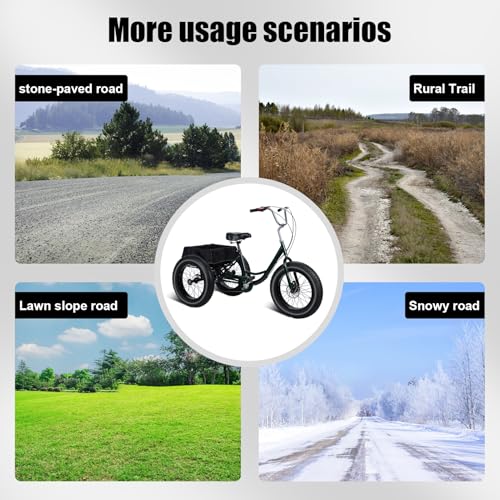 Black 20 inch 3 Wheel Fat Tire Tricycle G390